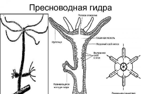 Кракен магазин нарко